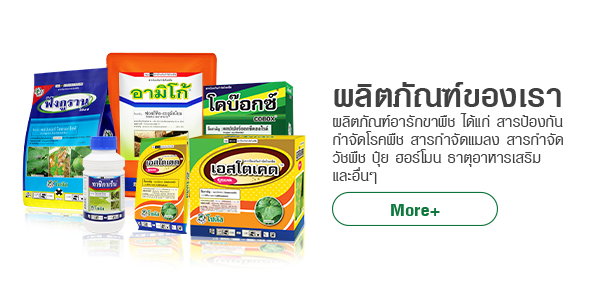 ผลิตภัณฑ์
