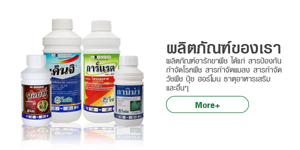 ผลิตภัณฑ์