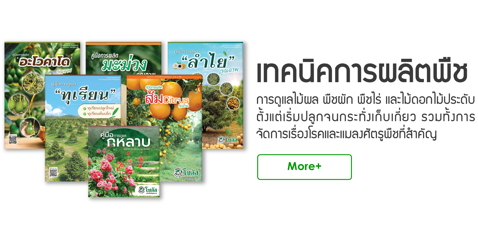 เทคนิคการผลิตพืช